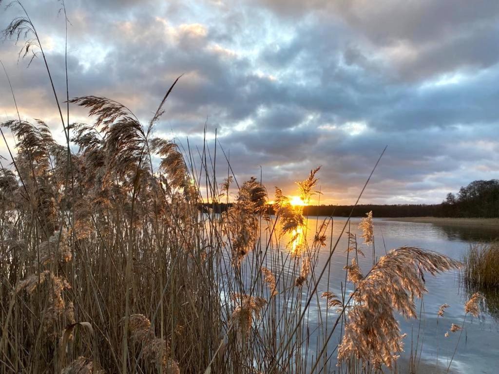 Ferienhaus Direkt Am See Uckermark テンプリーン エクステリア 写真